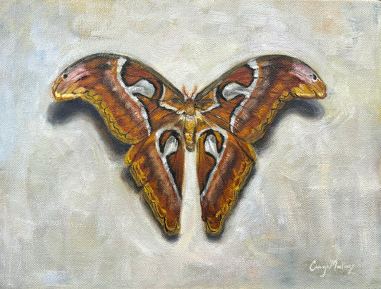 "To A Flame" Oil Painting