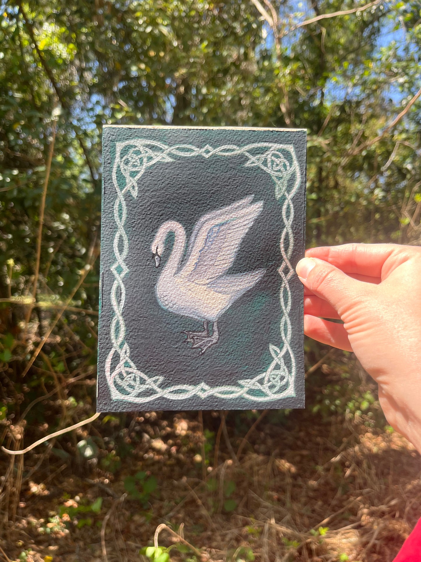 "A Swan and a Knot" 5"x7" watercolor painting