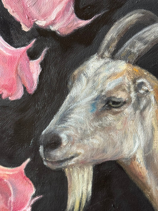 "Memento Mori" 12"x12"Oil Painting