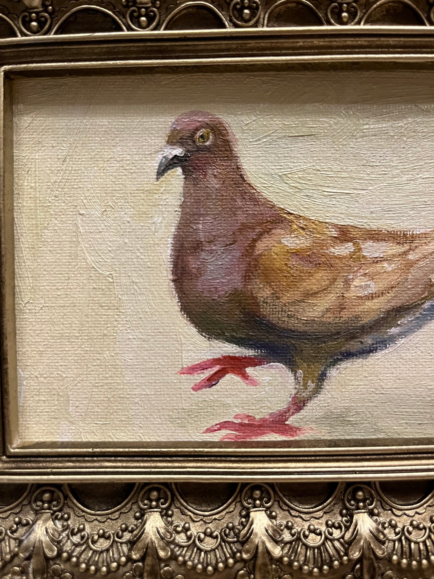 "Brown Pigeon Study" 4"x6" Oil Painting