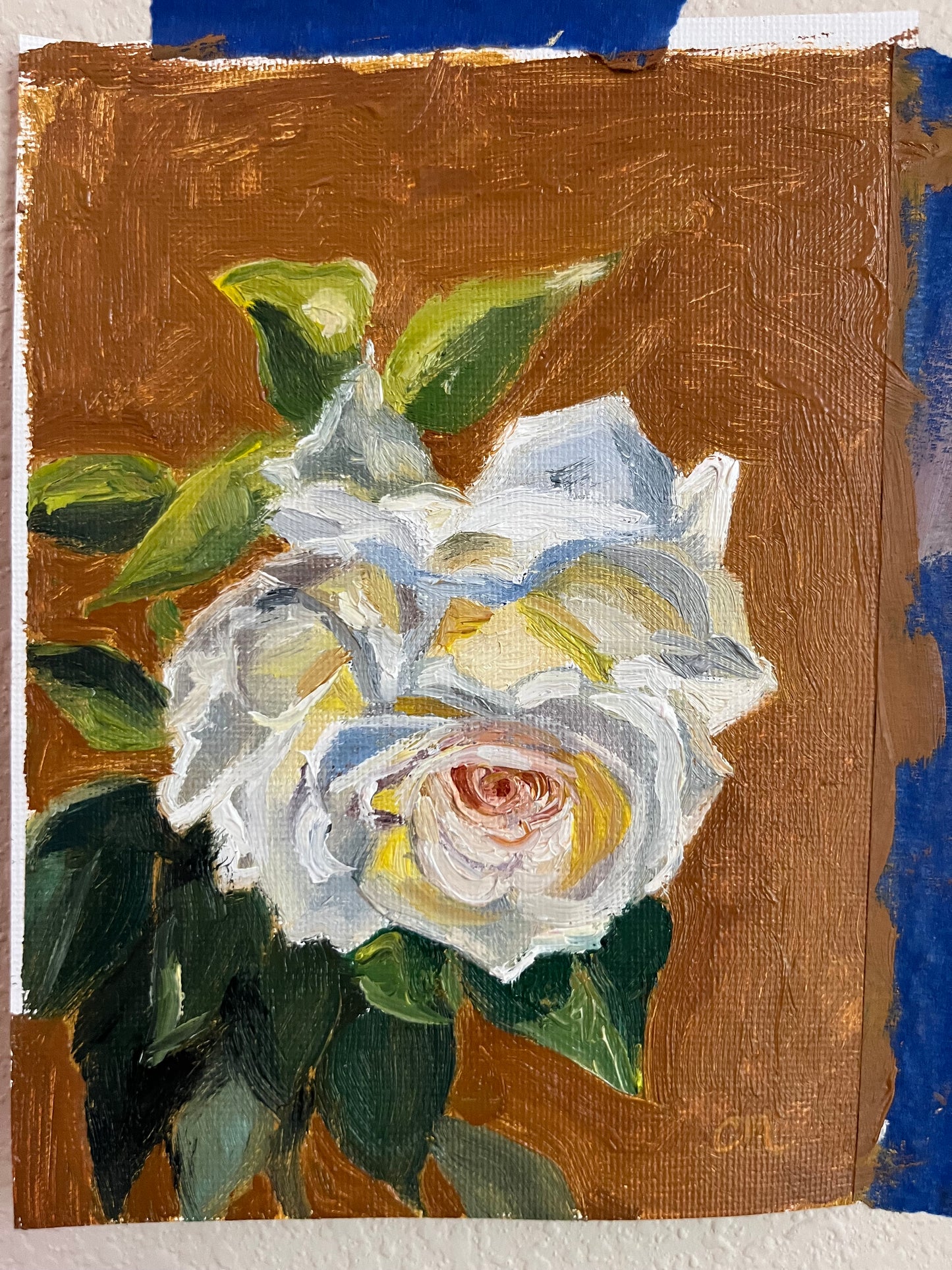 "White Rose Study" 4"x6" Oil Painting