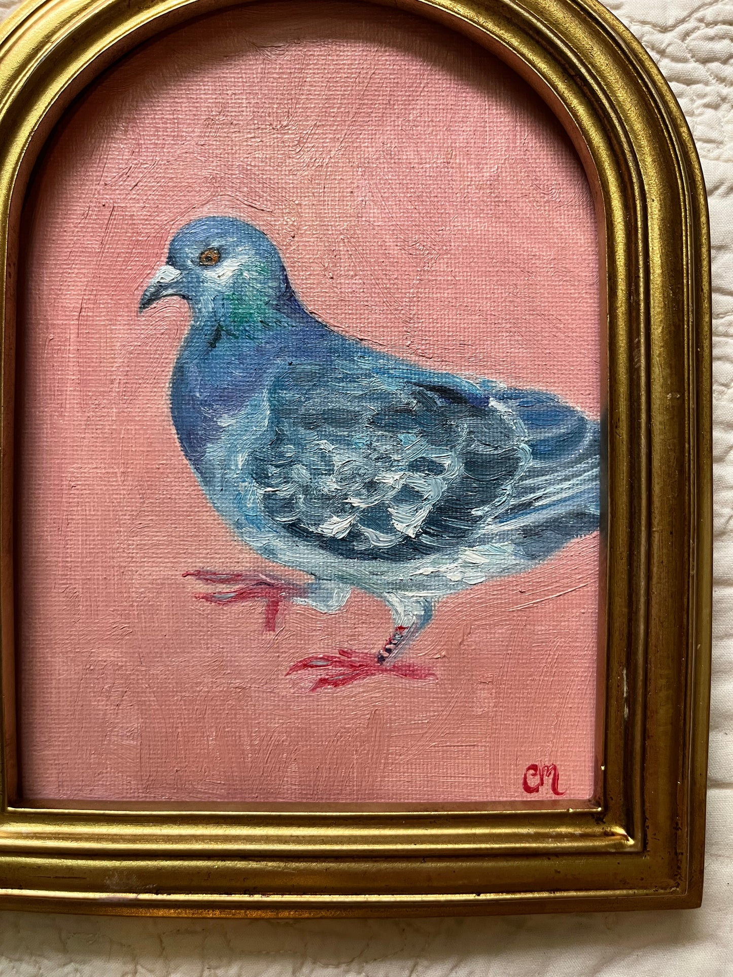 "Pigeon in Pink" 5"x7" Oil Painting