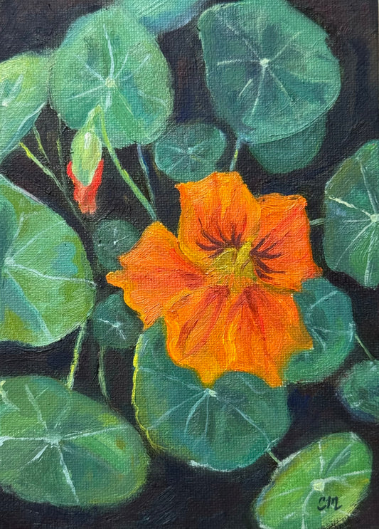 "Flowers for Cooler Weather" 5"x7" original oil painting with frame