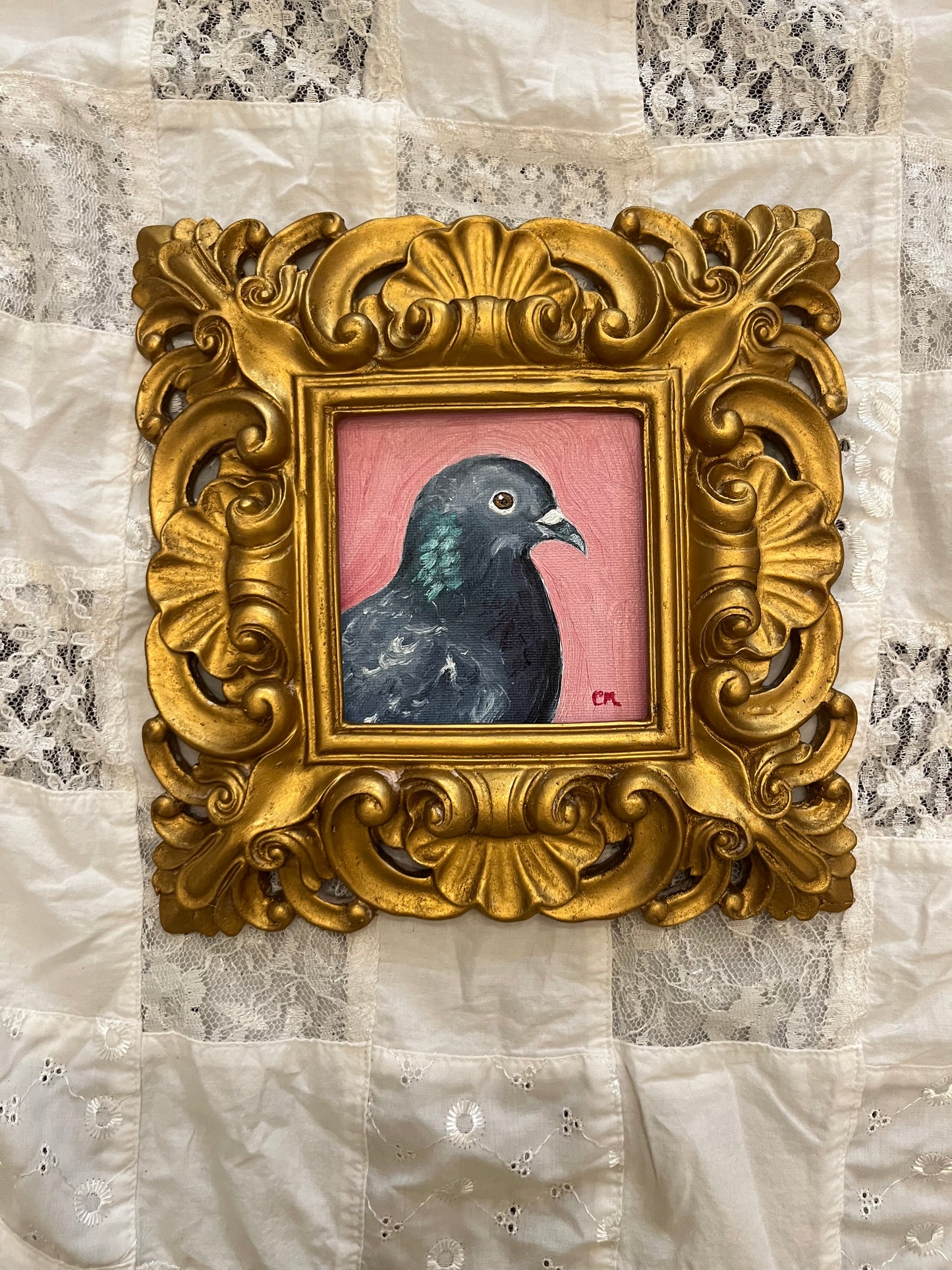 "Portrait of a Pigeon in Pink" 4"x4" Oil Painting