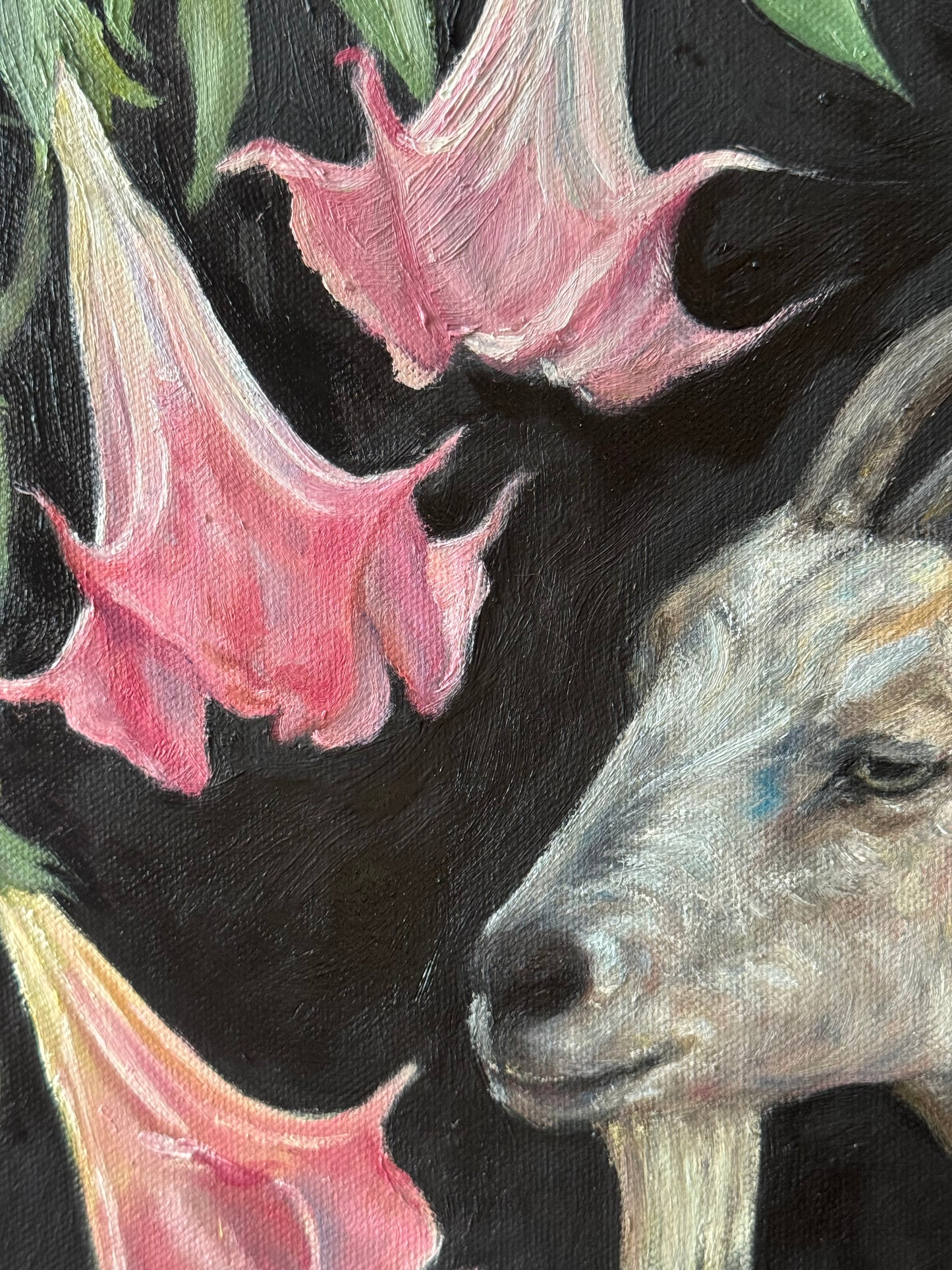"Memento Mori" 12"x12"Oil Painting