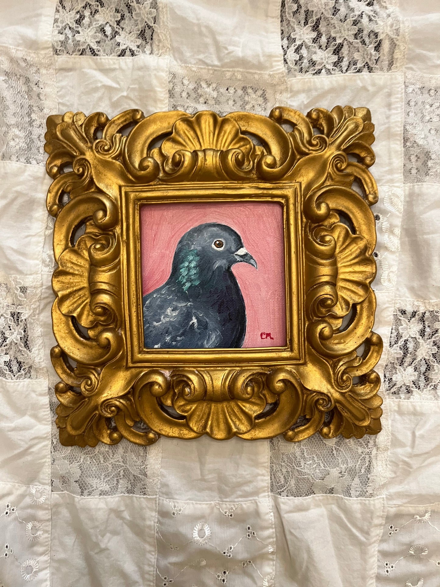 "Portrait of a Pigeon in Pink" 4"x4" Oil Painting