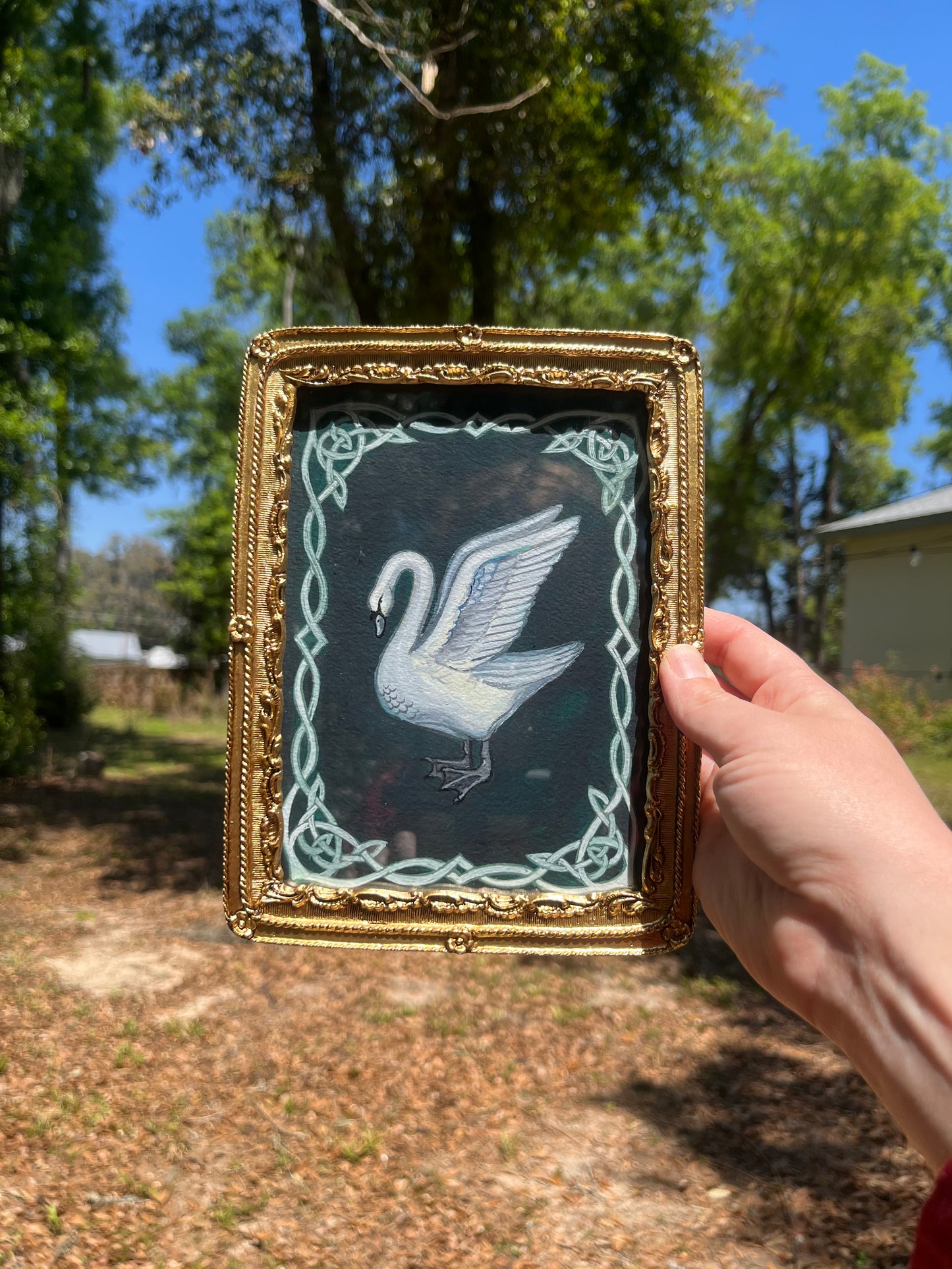 "A Swan and a Knot" 5"x7" watercolor painting