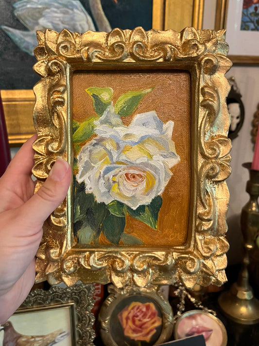 "White Rose Study" 4"x6" Oil Painting