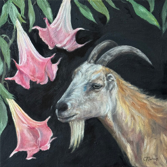 "Memento Mori" 12"x12"Oil Painting