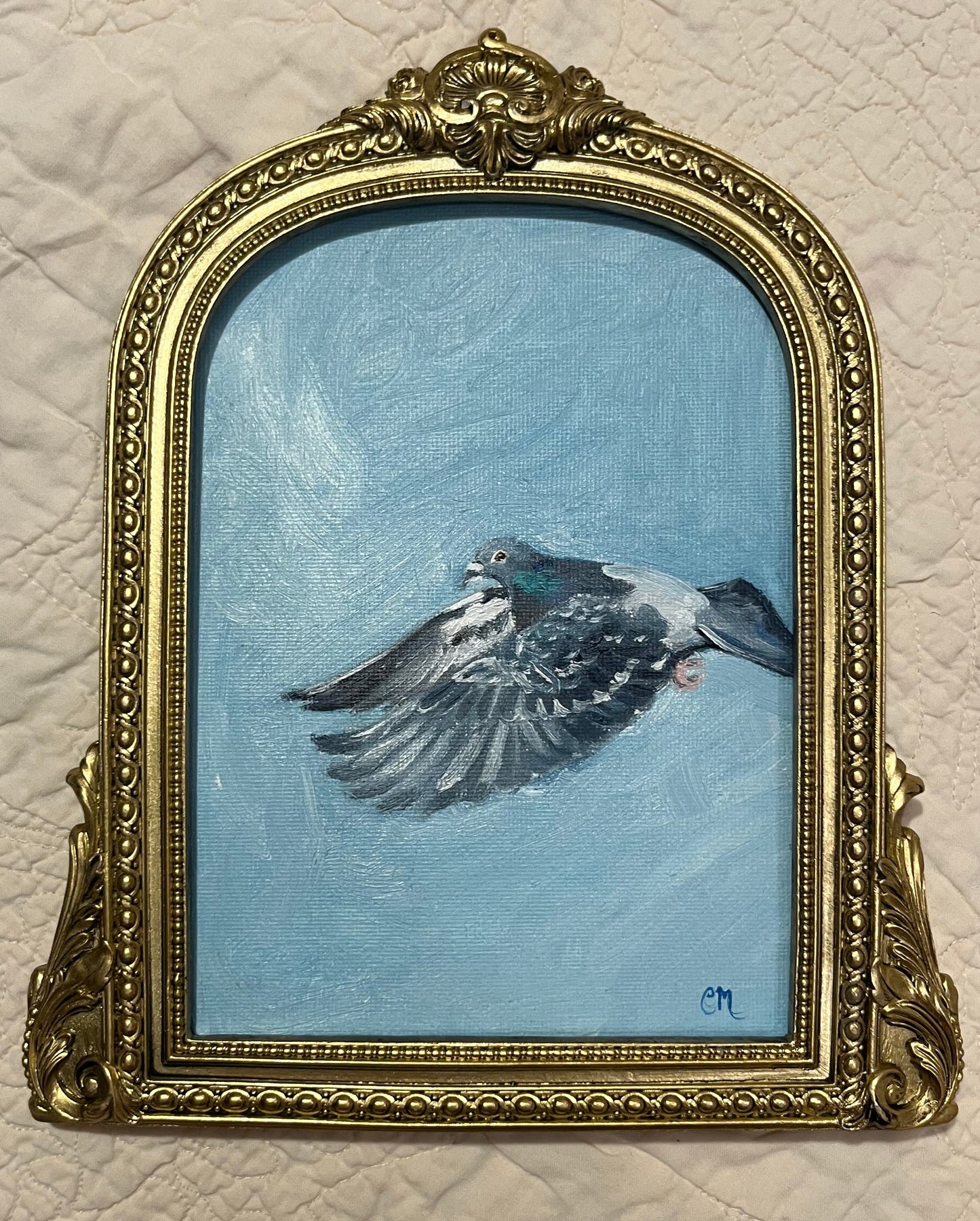 "Pigeon in the Sky" 5"x7" Oil Painting