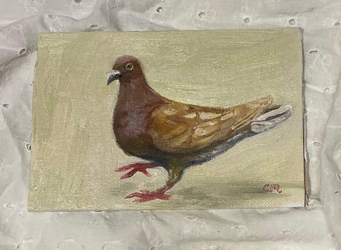 "Brown Pigeon Study" 4"x6" Oil Painting