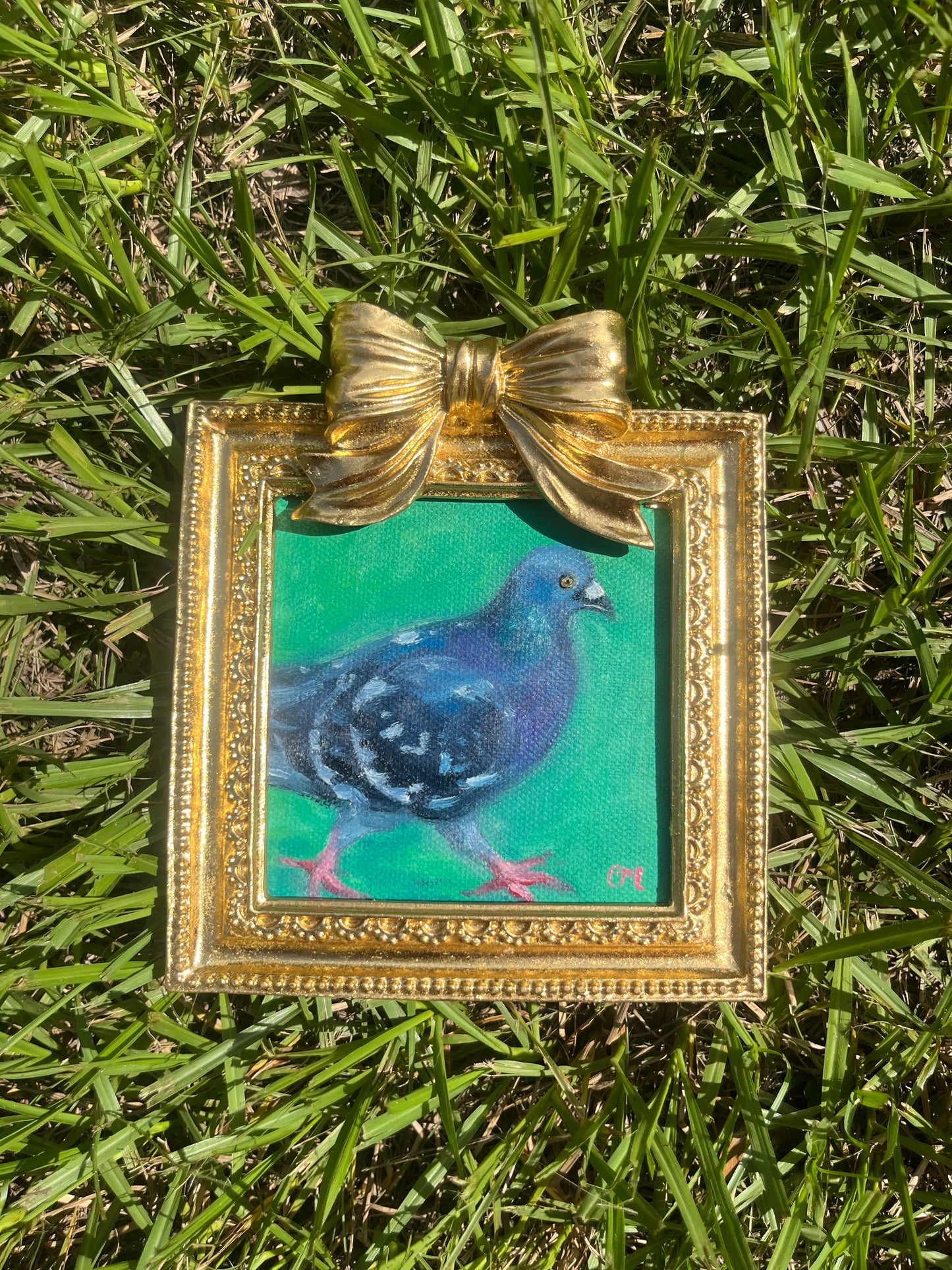 "Busy Pigeon" 4"x4" Oil Painting