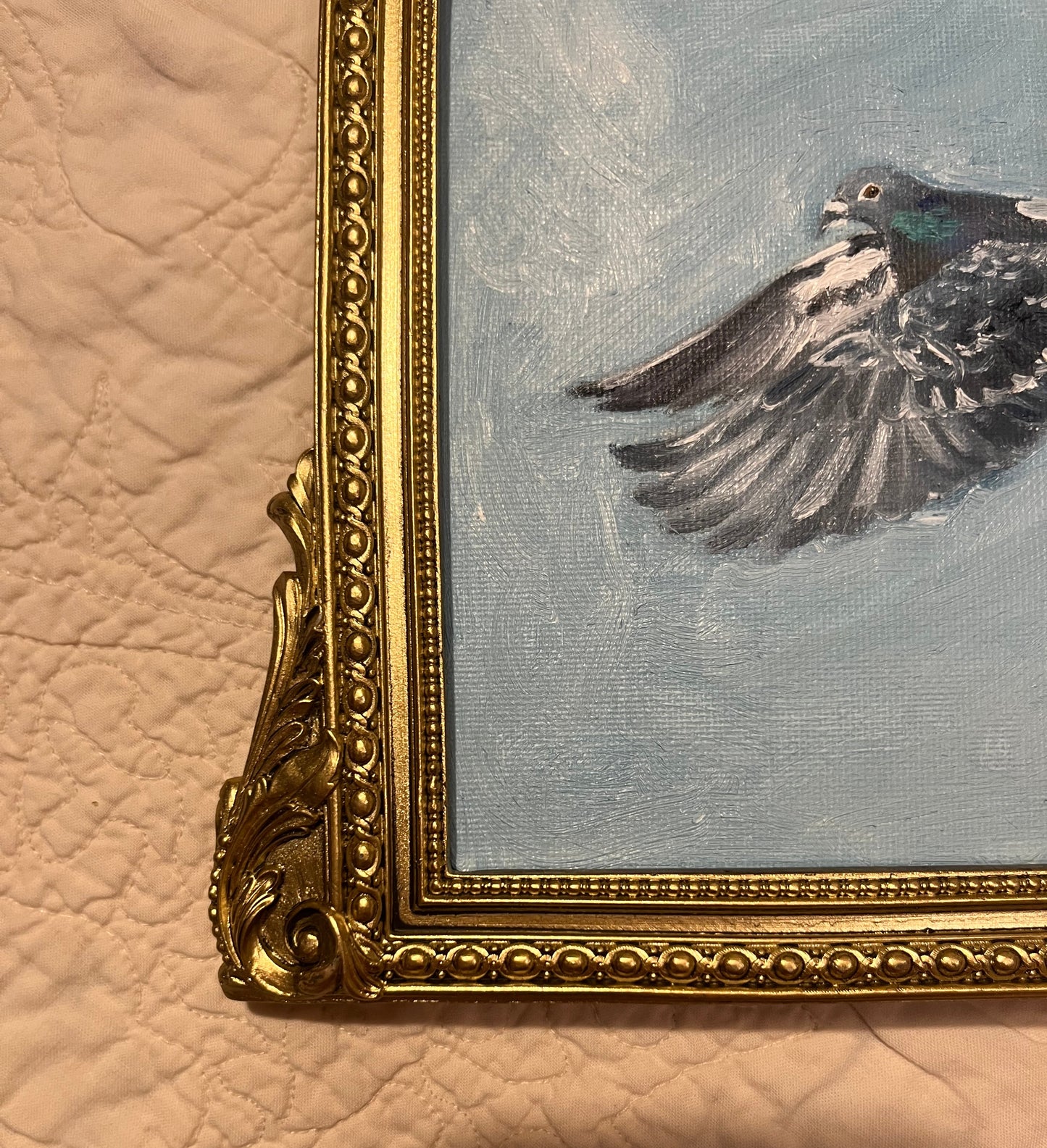 "Pigeon in the Sky" 5"x7" Oil Painting