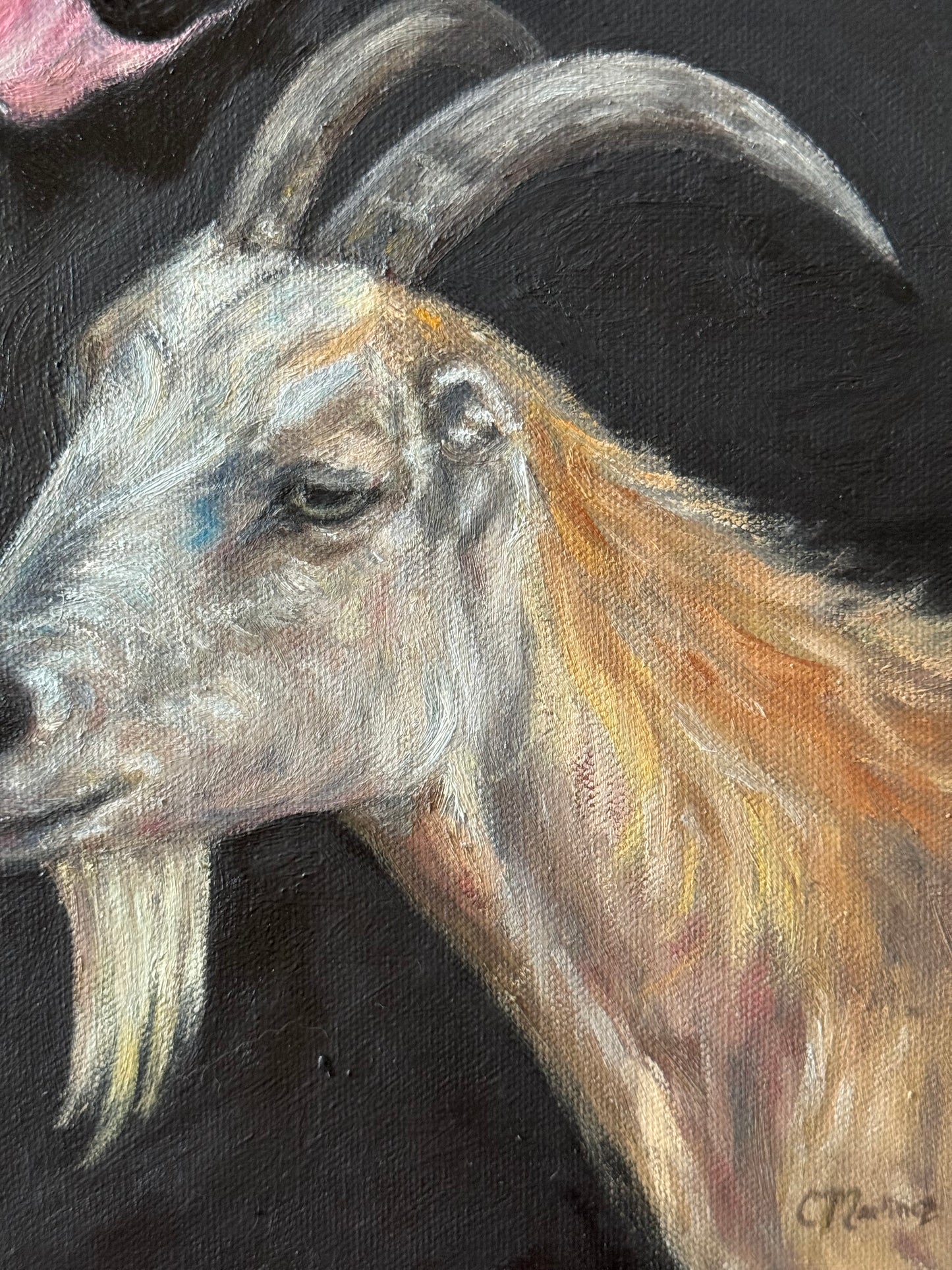 "Memento Mori" 12"x12"Oil Painting