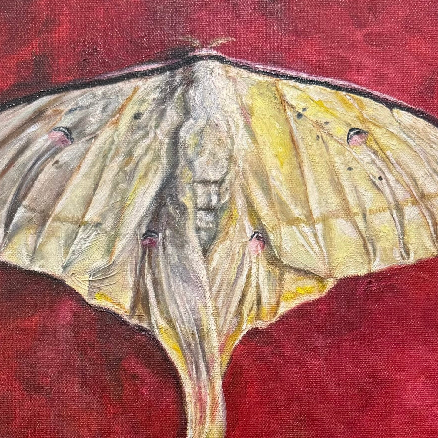 "Lunar" Oil Painting