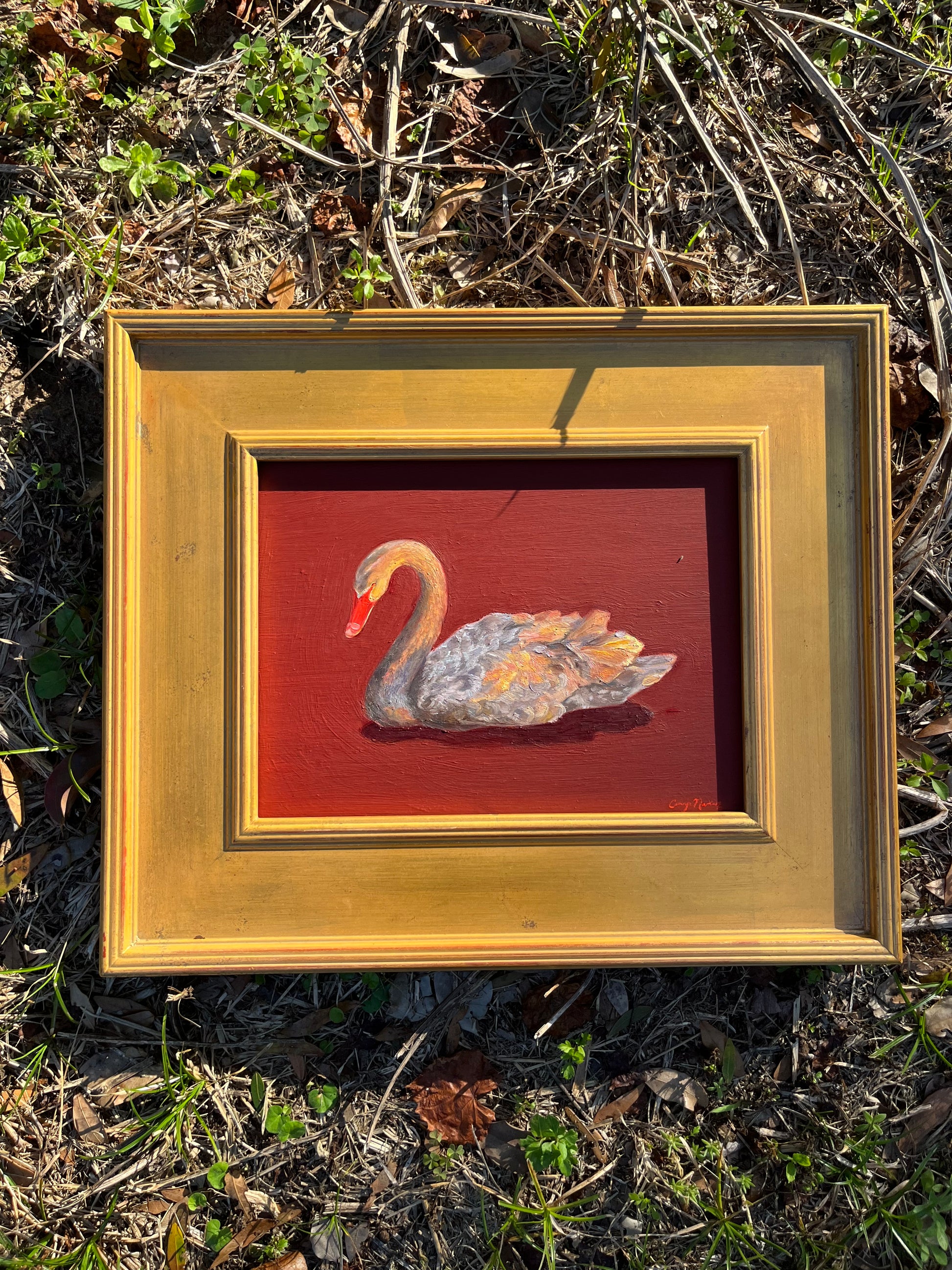 Framed artwork of a swan on a red background and gold plein air frame placed on dry grass.