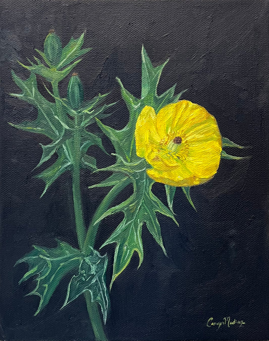 "A Weed or a Wildflower?" Giclee Print