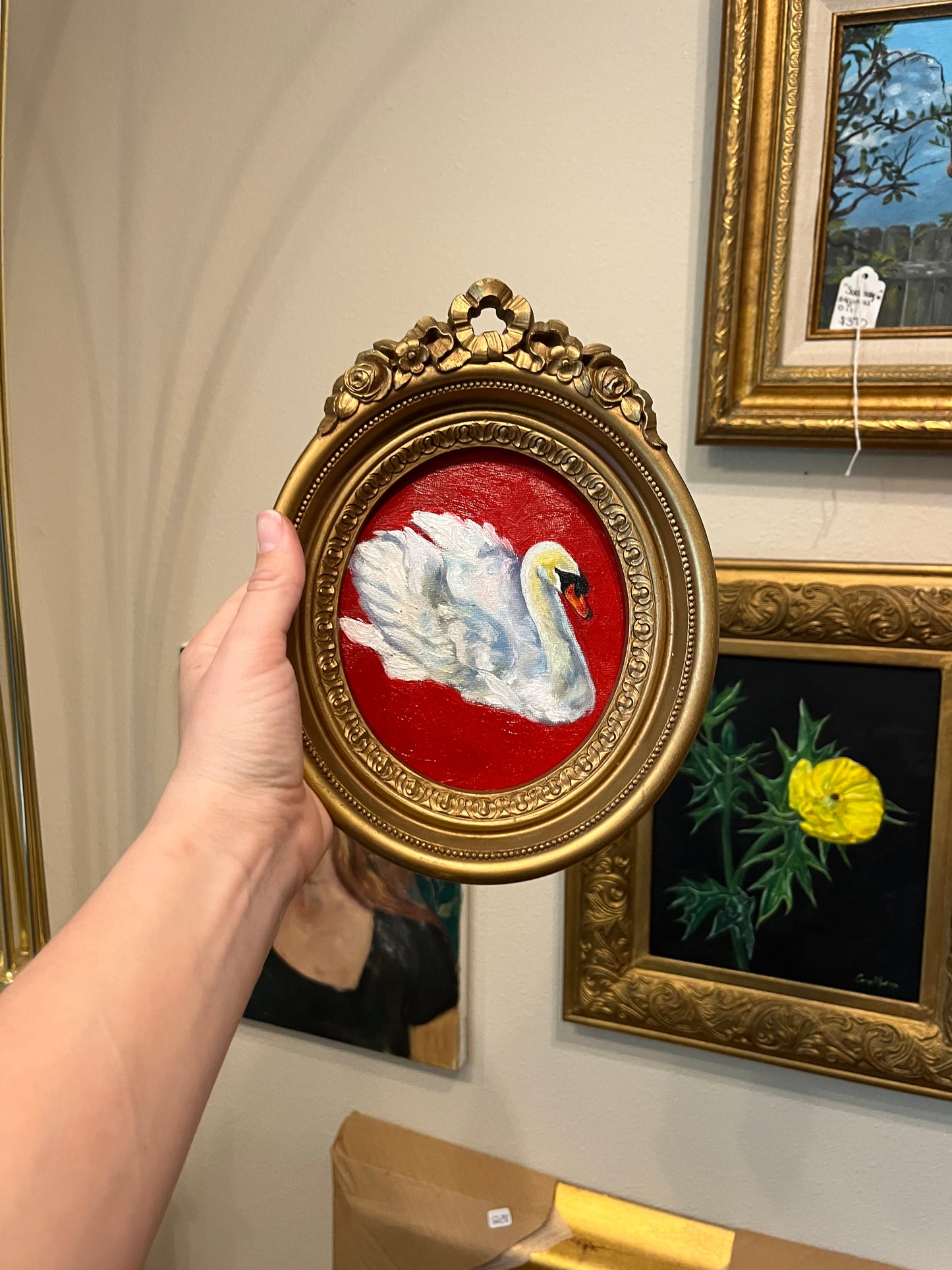 "Red Swan Study"