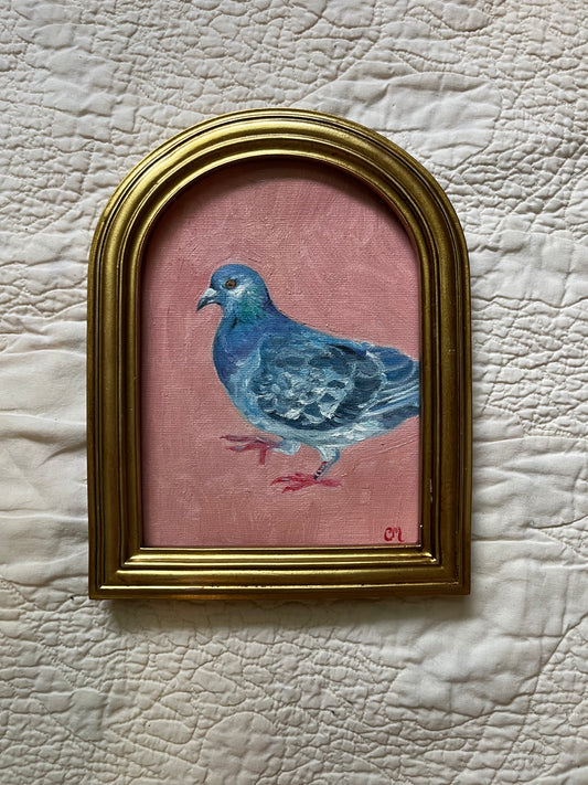 "Pigeon in Pink" 5"x7" Oil Painting