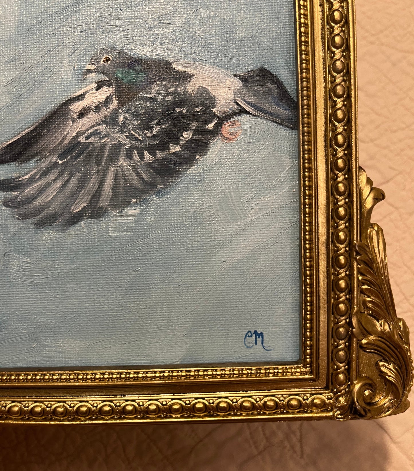 "Pigeon in the Sky" 5"x7" Oil Painting