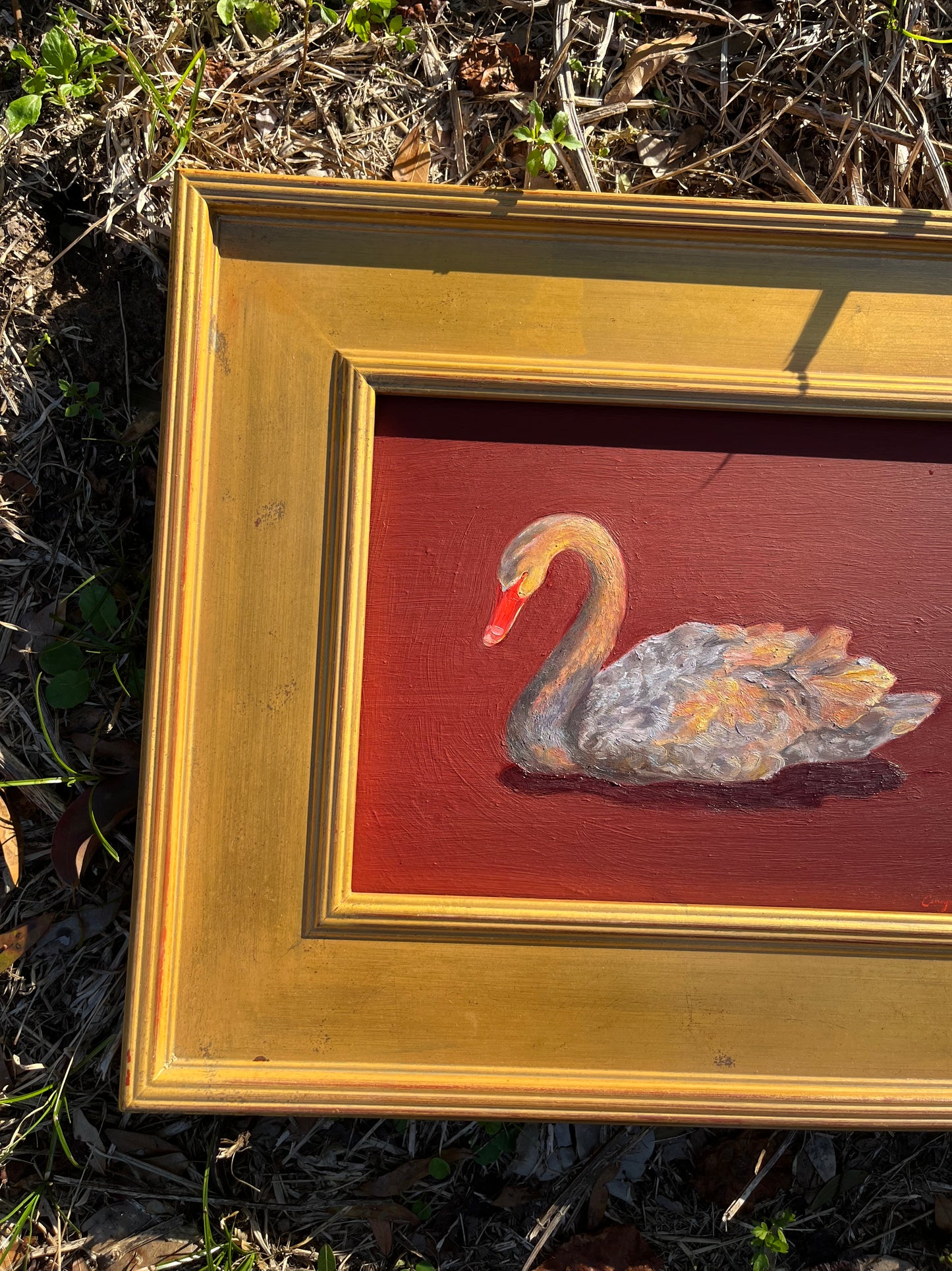 Framed painting of a swan on a red background, against a grass background.