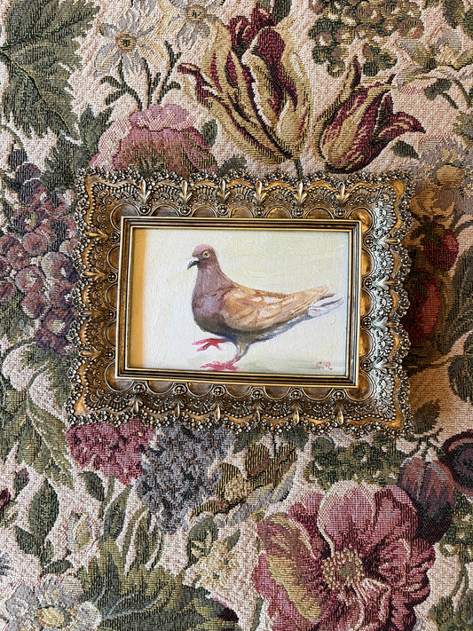 "Brown Pigeon Study" 4"x6" Oil Painting