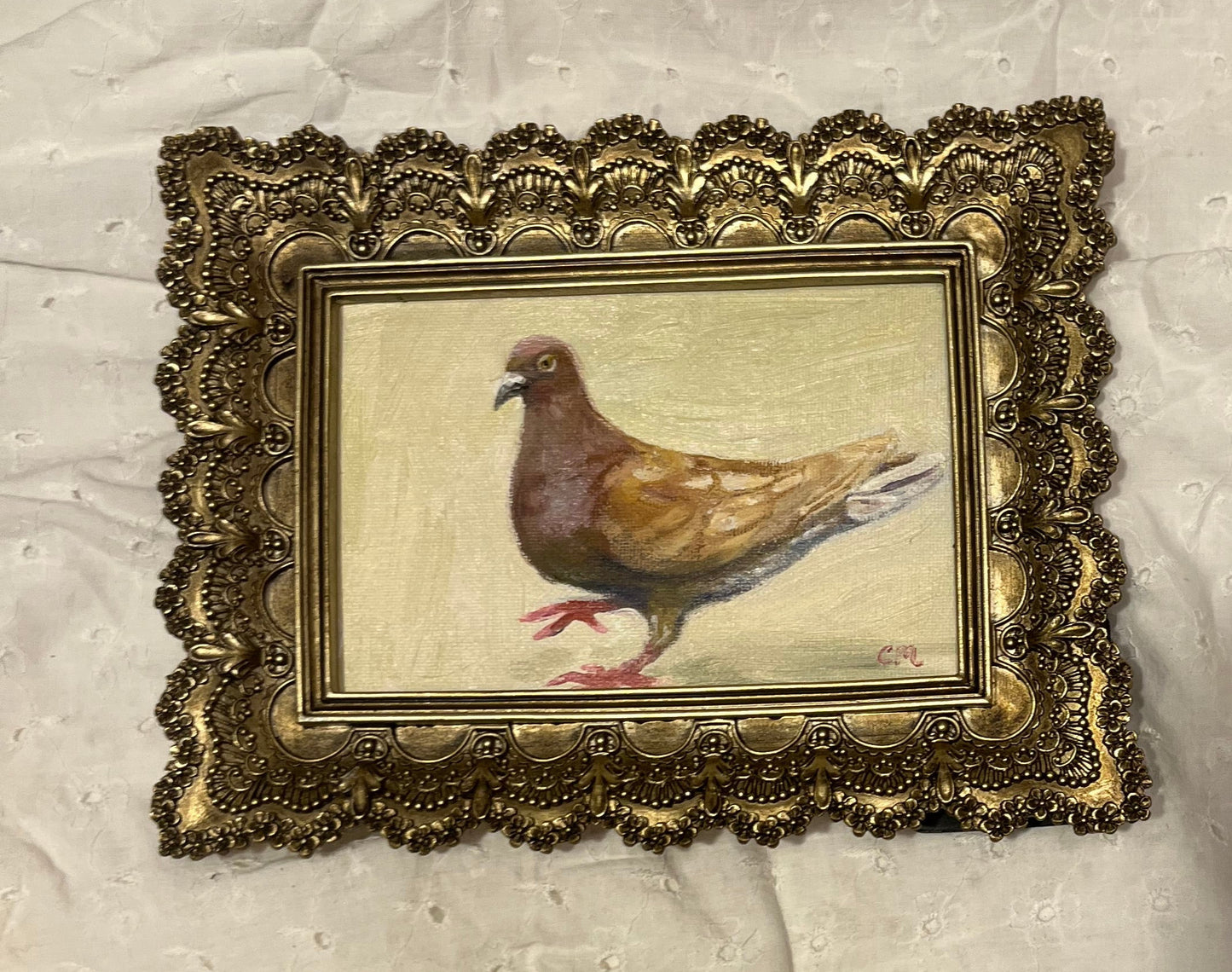"Brown Pigeon Study" 4"x6" Oil Painting
