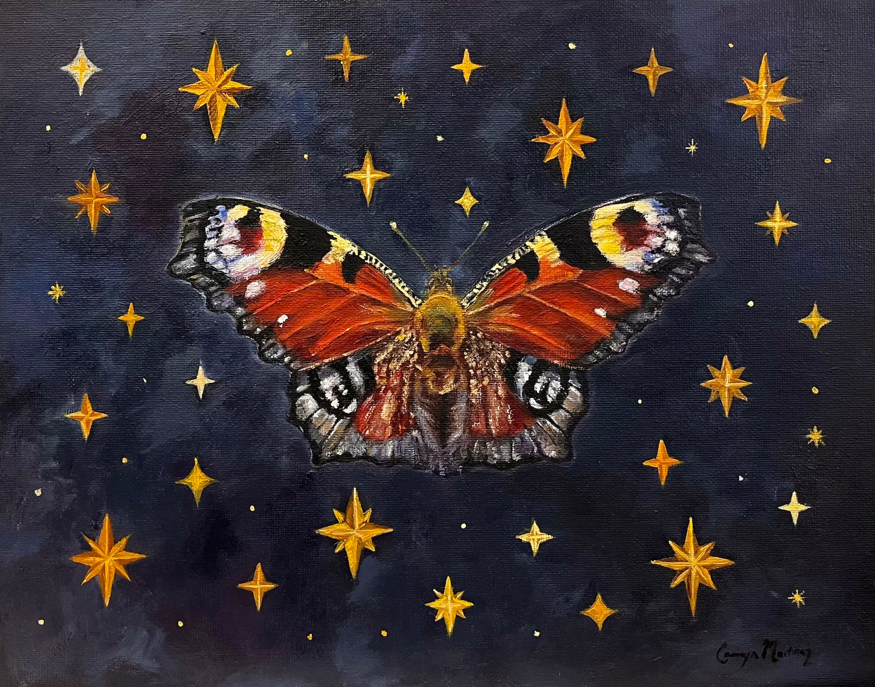 Peacock Butterfly against a dark blue background with yellow stars